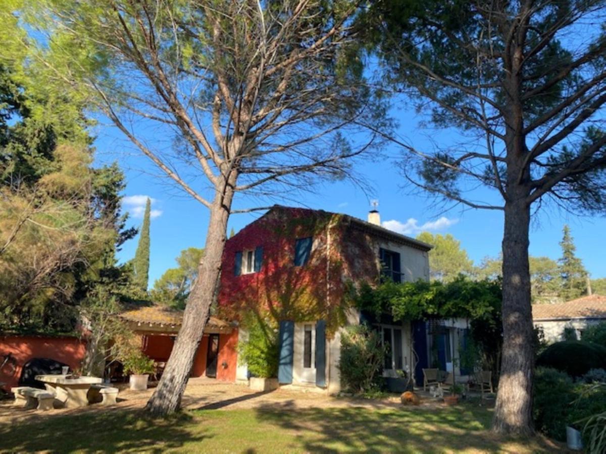 Mas La Pauline Gites De Charme & Roulotte Saint-Rémy-de-Provence Exteriör bild