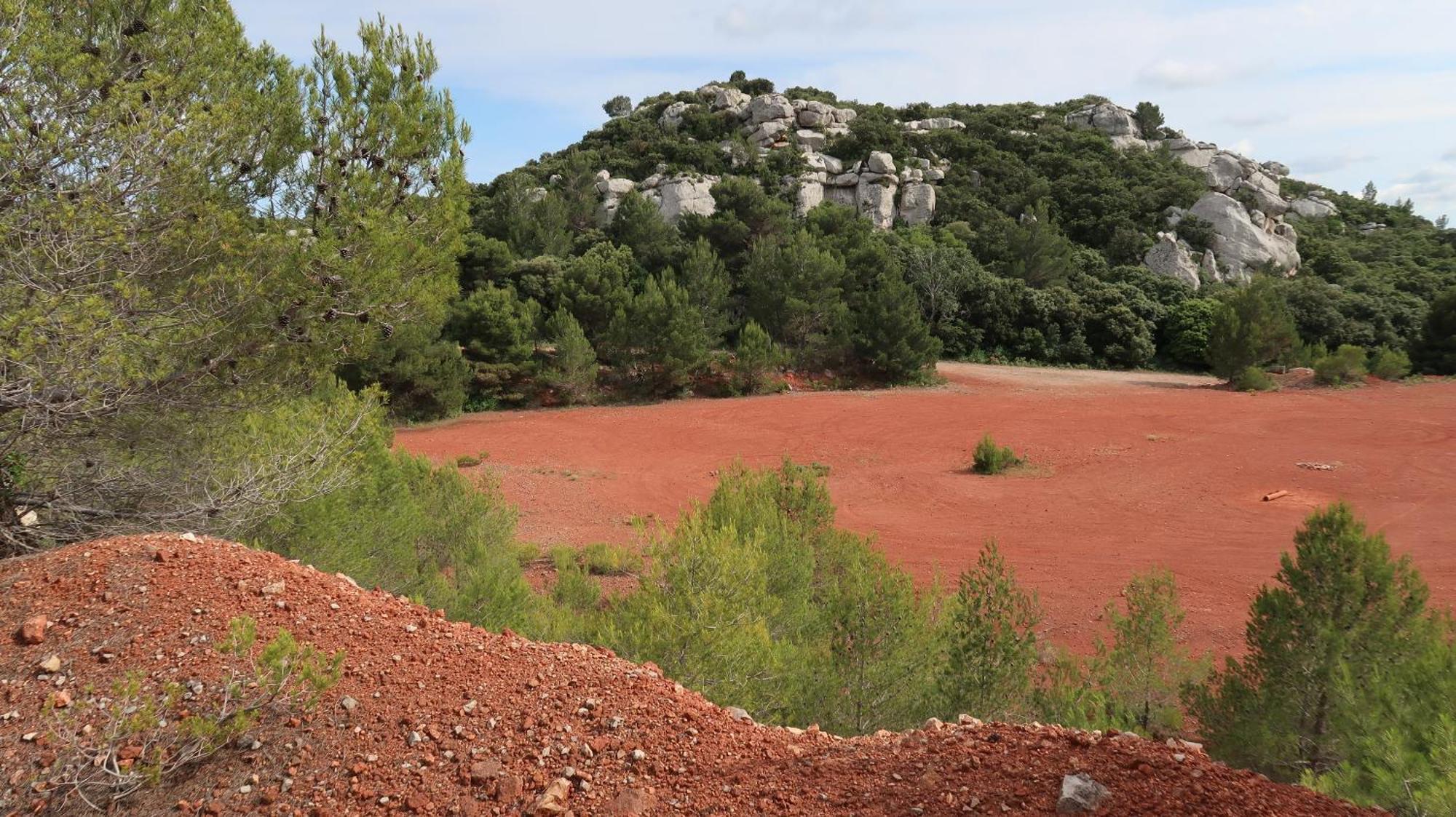 Mas La Pauline Gites De Charme & Roulotte Saint-Rémy-de-Provence Exteriör bild