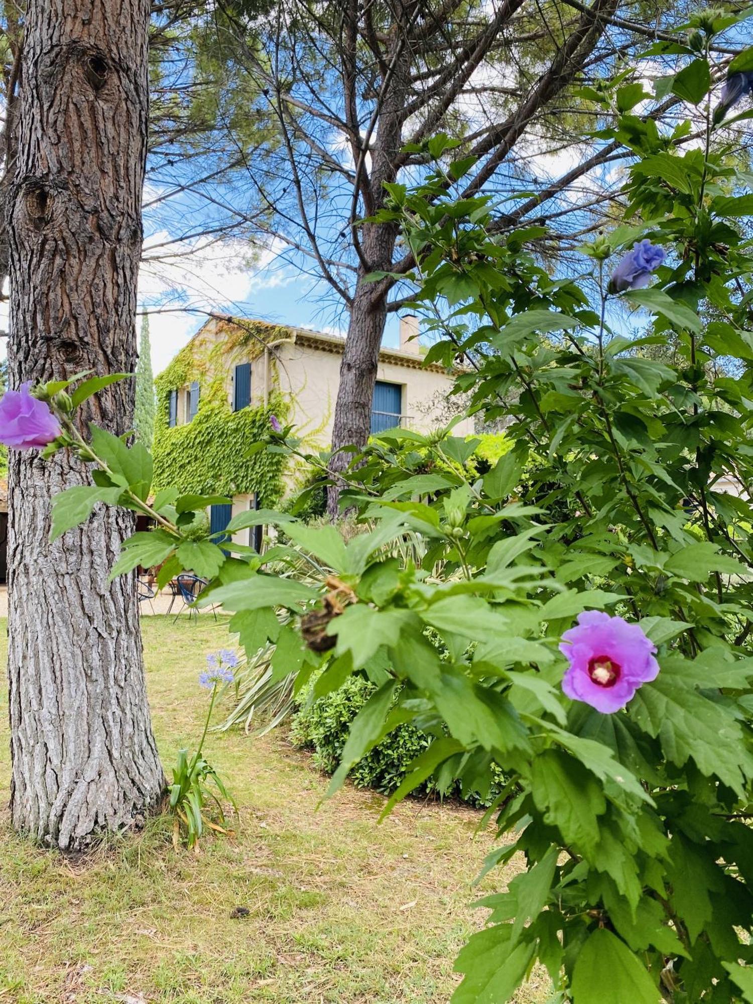 Mas La Pauline Gites De Charme & Roulotte Saint-Rémy-de-Provence Exteriör bild