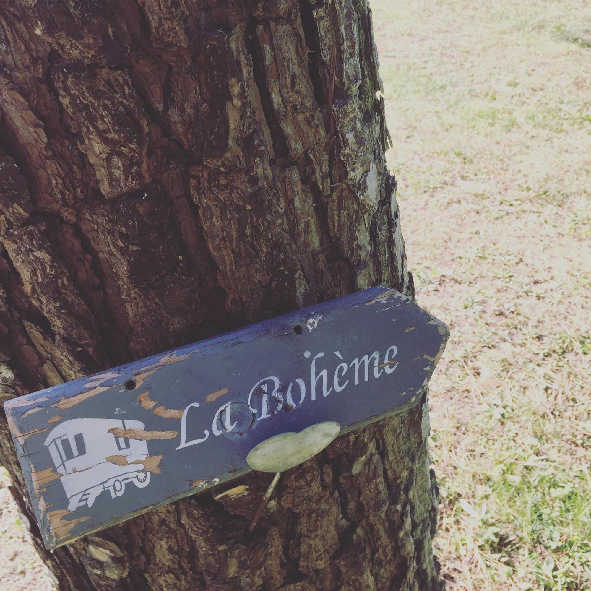 Mas La Pauline Gites De Charme & Roulotte Saint-Rémy-de-Provence Rum bild