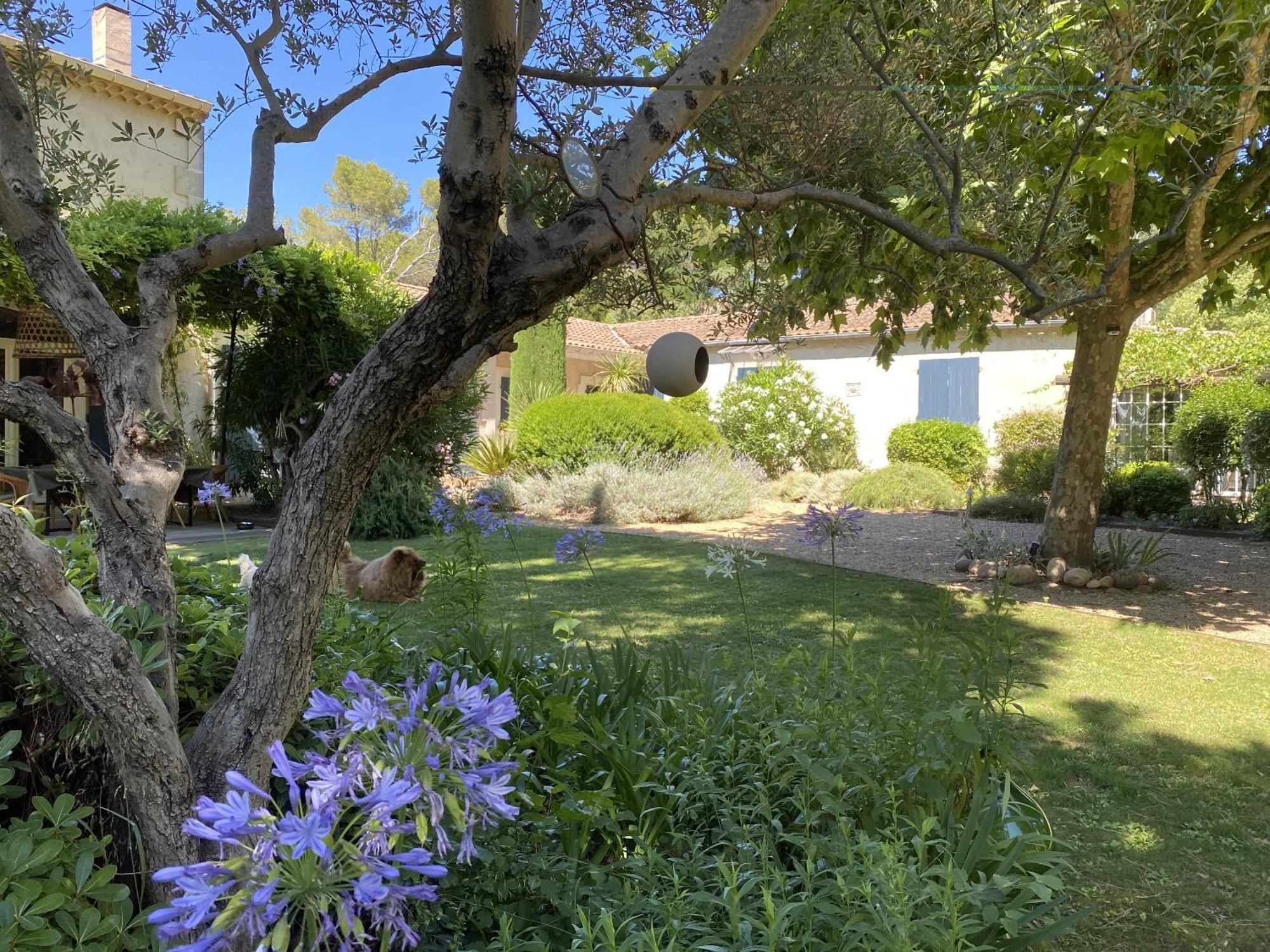 Mas La Pauline Gites De Charme & Roulotte Saint-Rémy-de-Provence Exteriör bild